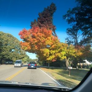 Meet your Posher, Divya